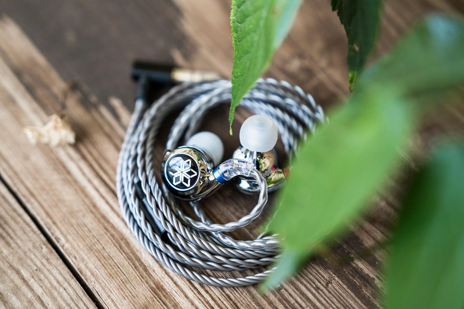 FiiO FD11 (2023) Hi-Res 10mm Carbon-based Diaphragm Dynamic Driver IEM Earphone