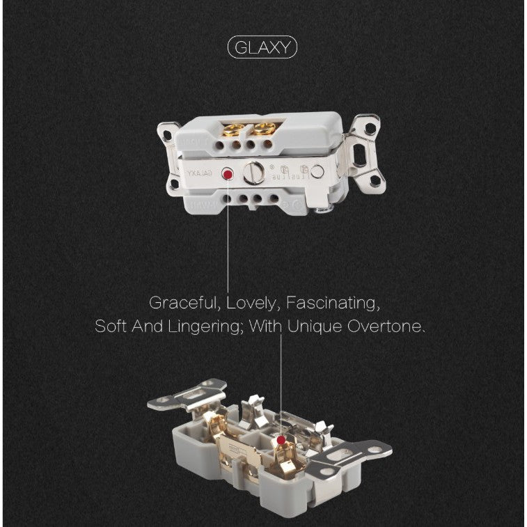 [PM best price] Plug Plus Galaxy Receptacles for Hifi use