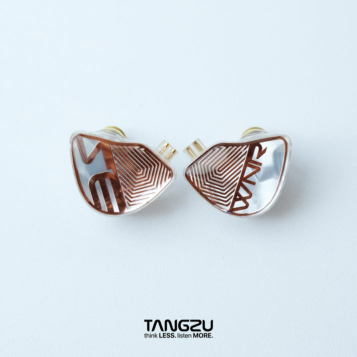 Tangzu WAN'ER 2 / Wan'er S.G / Studio Edition Hi-Fi 10mm Dynamic Driver In Ear Monitor IEMs | 10mm Dynamic Driver IEM Earphone Dual Chamber PET Diaphragm | Detachable Cable