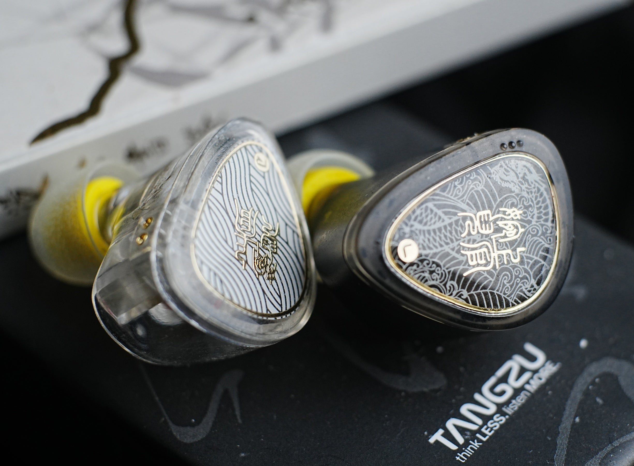 Tangzu WAN'ER 2 / Wan'er S.G / Studio Edition Hi-Fi 10mm Dynamic Driver In Ear Monitor IEMs | 10mm Dynamic Driver IEM Earphone Dual Chamber PET Diaphragm | Detachable Cable