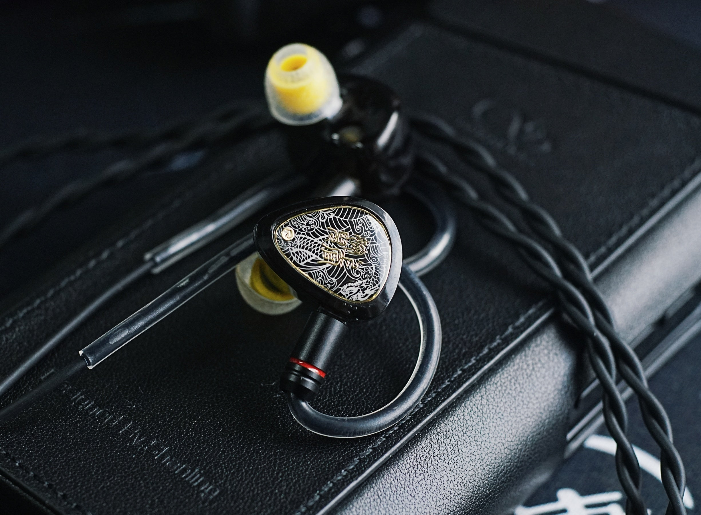 Tangzu WAN'ER 2 / Wan'er S.G / Studio Edition Hi-Fi 10mm Dynamic Driver In Ear Monitor IEMs | 10mm Dynamic Driver IEM Earphone Dual Chamber PET Diaphragm | Detachable Cable