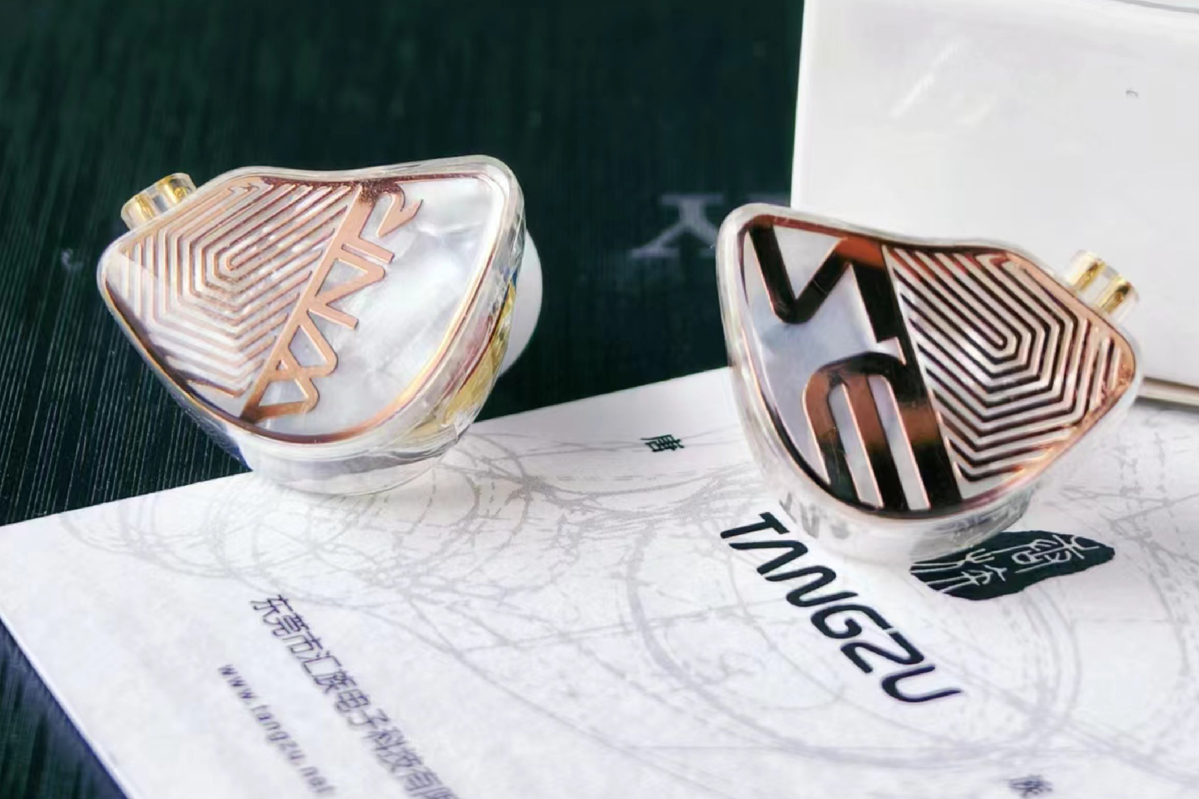 Tangzu WAN'ER 2 / Wan'er S.G / Studio Edition Hi-Fi 10mm Dynamic Driver In Ear Monitor IEMs | 10mm Dynamic Driver IEM Earphone Dual Chamber PET Diaphragm | Detachable Cable