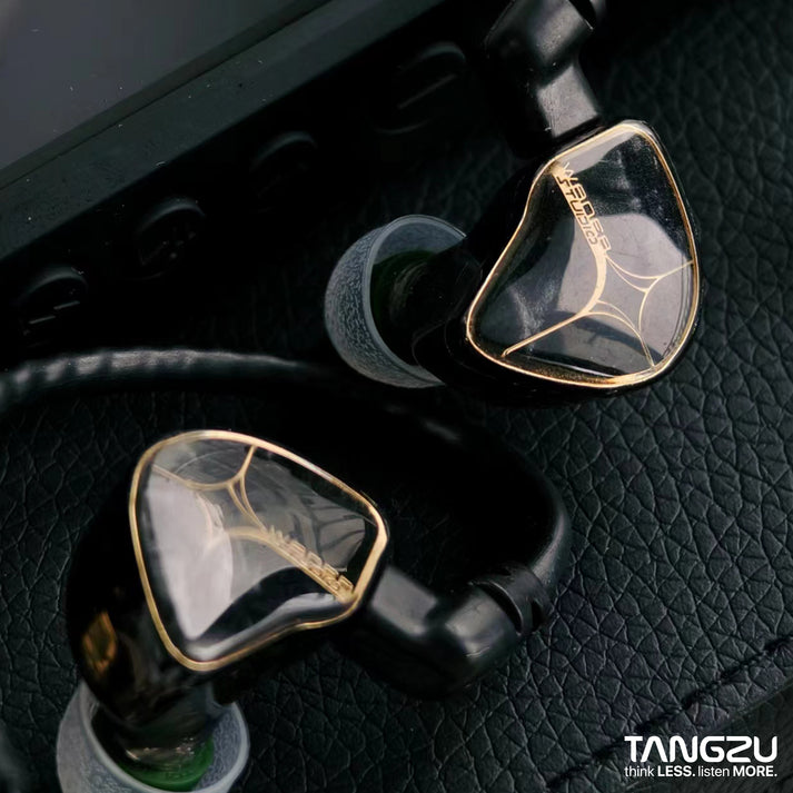 Tangzu WAN'ER 2 / Wan'er S.G / Studio Edition Hi-Fi 10mm Dynamic Driver In Ear Monitor IEMs | 10mm Dynamic Driver IEM Earphone Dual Chamber PET Diaphragm | Detachable Cable