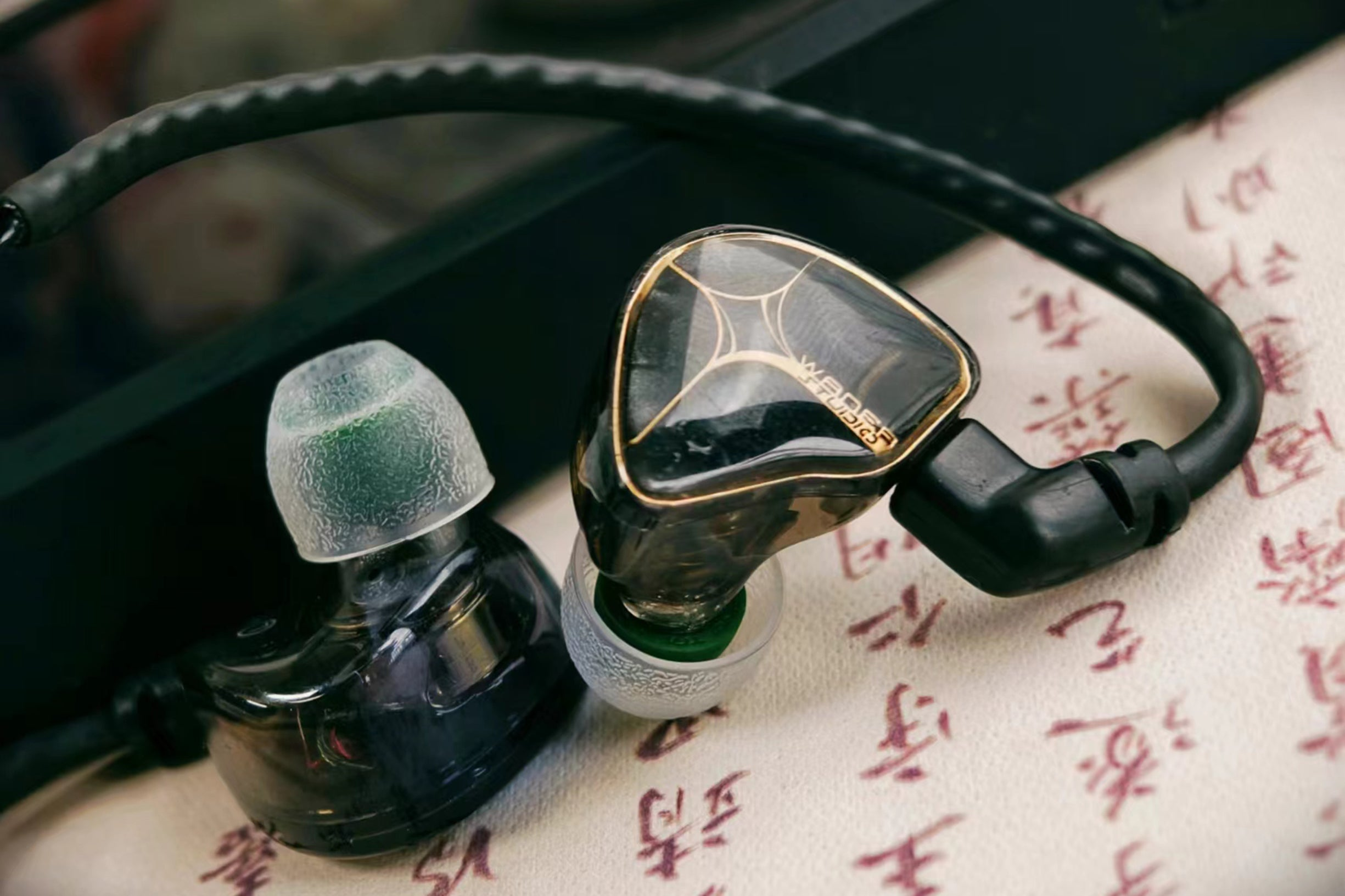 Tangzu WAN'ER 2 / Wan'er S.G / Studio Edition Hi-Fi 10mm Dynamic Driver In Ear Monitor IEMs | 10mm Dynamic Driver IEM Earphone Dual Chamber PET Diaphragm | Detachable Cable