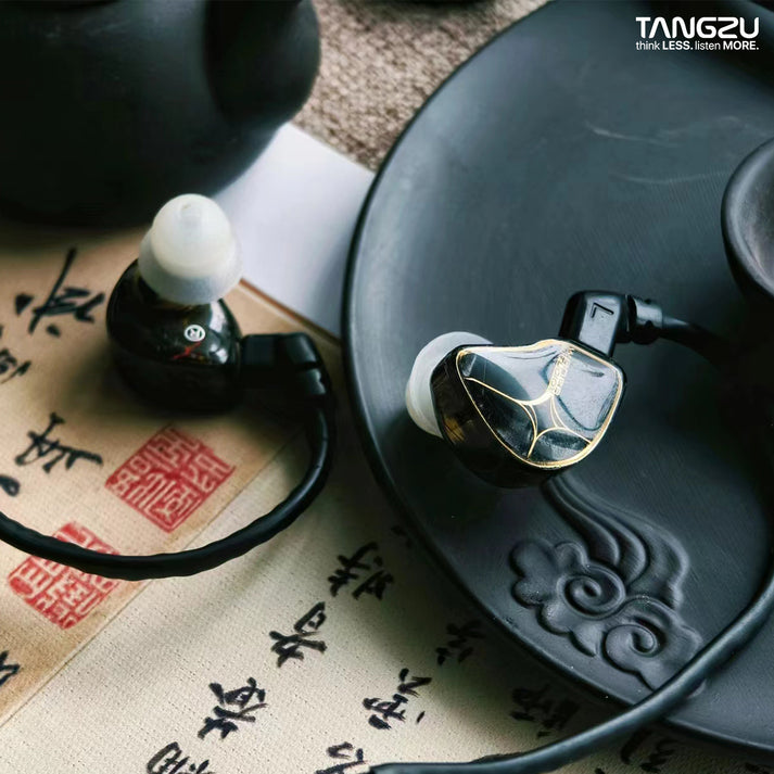 Tangzu WAN'ER 2 / Wan'er S.G / Studio Edition Hi-Fi 10mm Dynamic Driver In Ear Monitor IEMs | 10mm Dynamic Driver IEM Earphone Dual Chamber PET Diaphragm | Detachable Cable