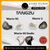 Tangzu WAN'ER 2 / Wan'er S.G / Studio Edition Hi-Fi 10mm Dynamic Driver In Ear Monitor IEMs | 10mm Dynamic Driver IEM Earphone Dual Chamber PET Diaphragm | Detachable Cable